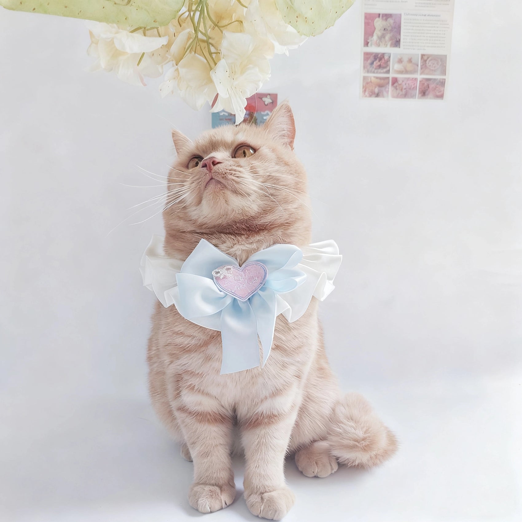 Elegant Pearl Bow Pet Bib