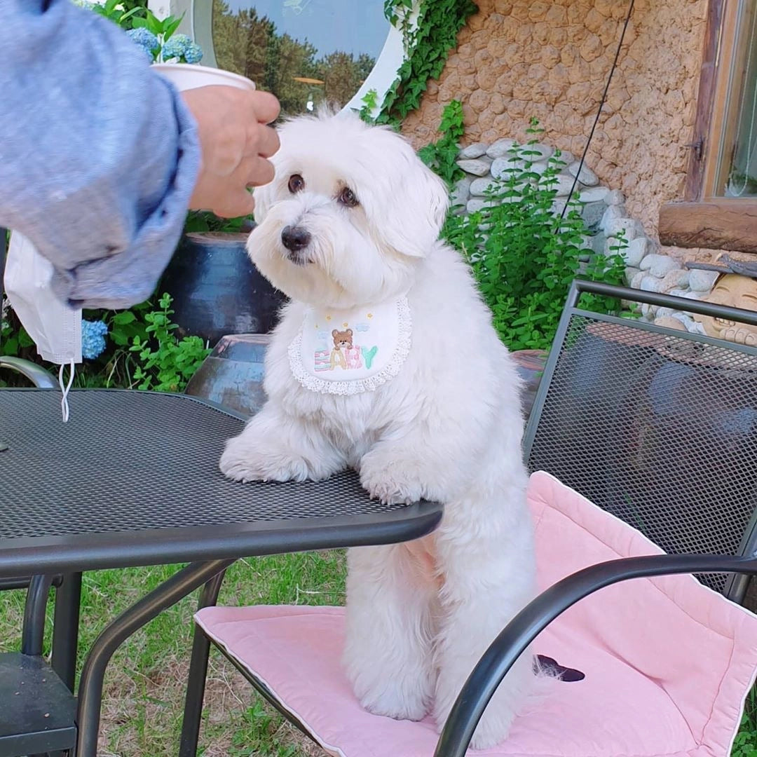 Adjustable Dog Bib
