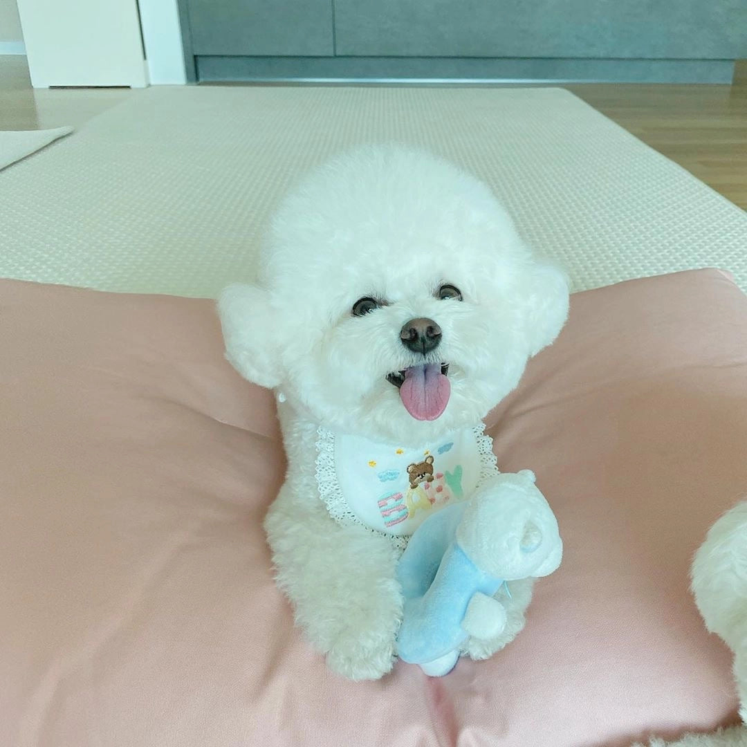 Adjustable Dog Bib