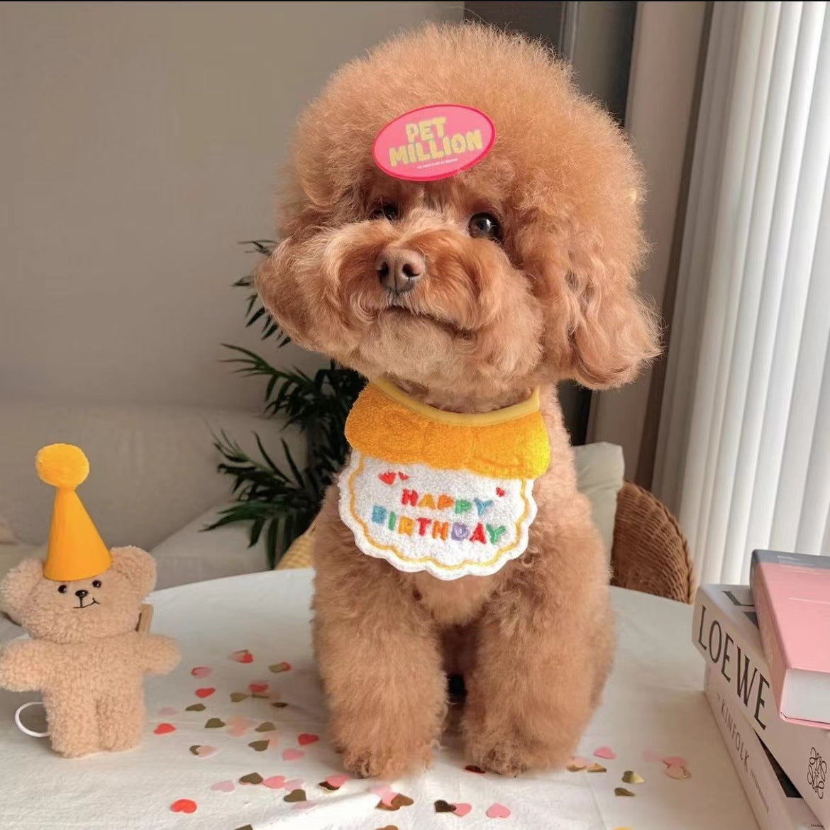 Pet Birthday Bib & Scarf