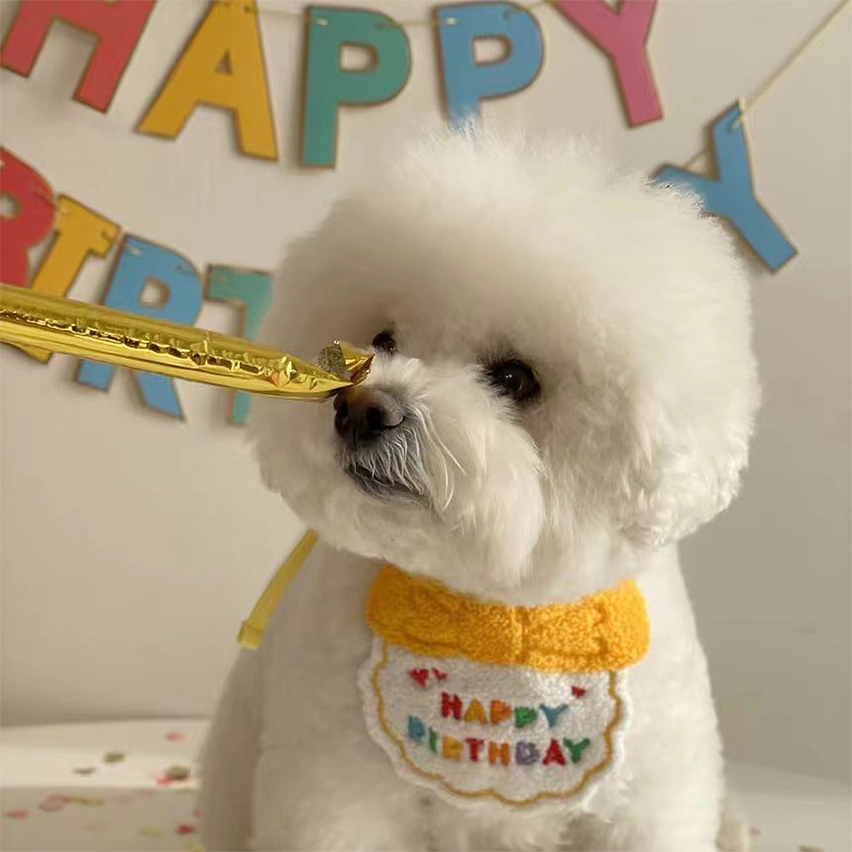 Pet Birthday Bib & Scarf
