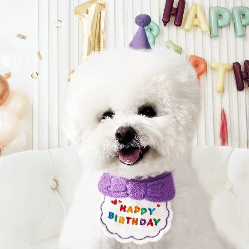 Pet Birthday Bib & Scarf