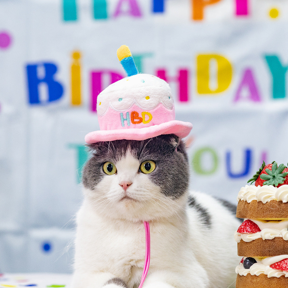 Pet Birthday Hat with Embroidery