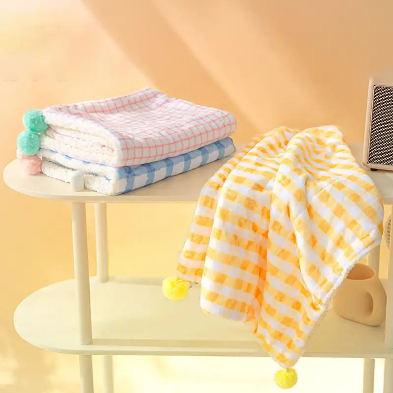 Thick Plush Pet Blanket
