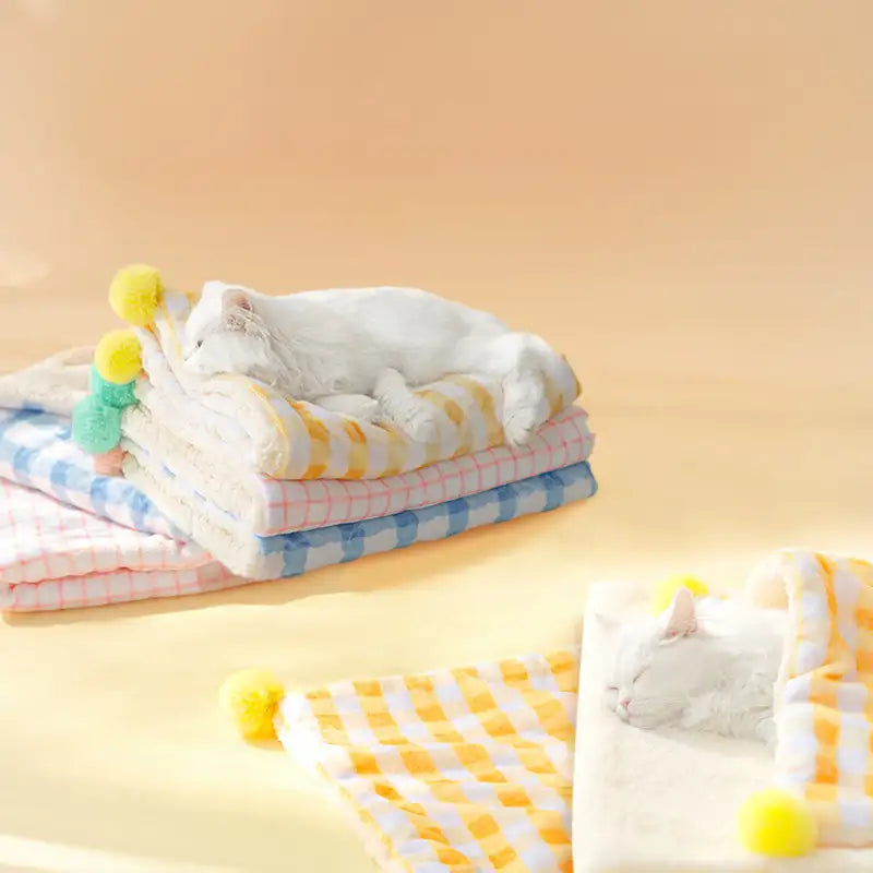 Thick Plush Pet Blanket