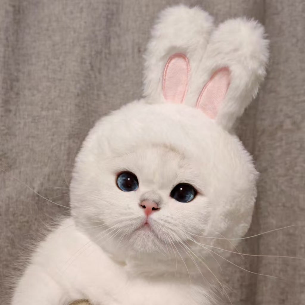 Cute Pet Bunny Hat with Rabbit Ears