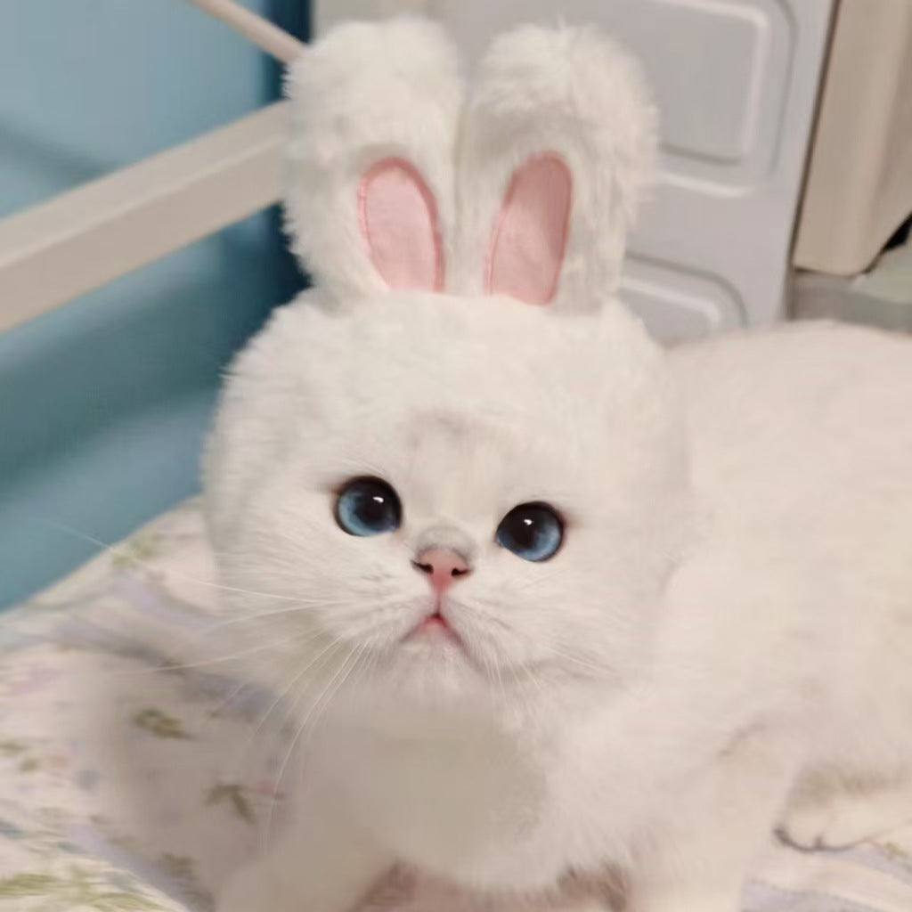 Cute Pet Bunny Hat with Rabbit Ears
