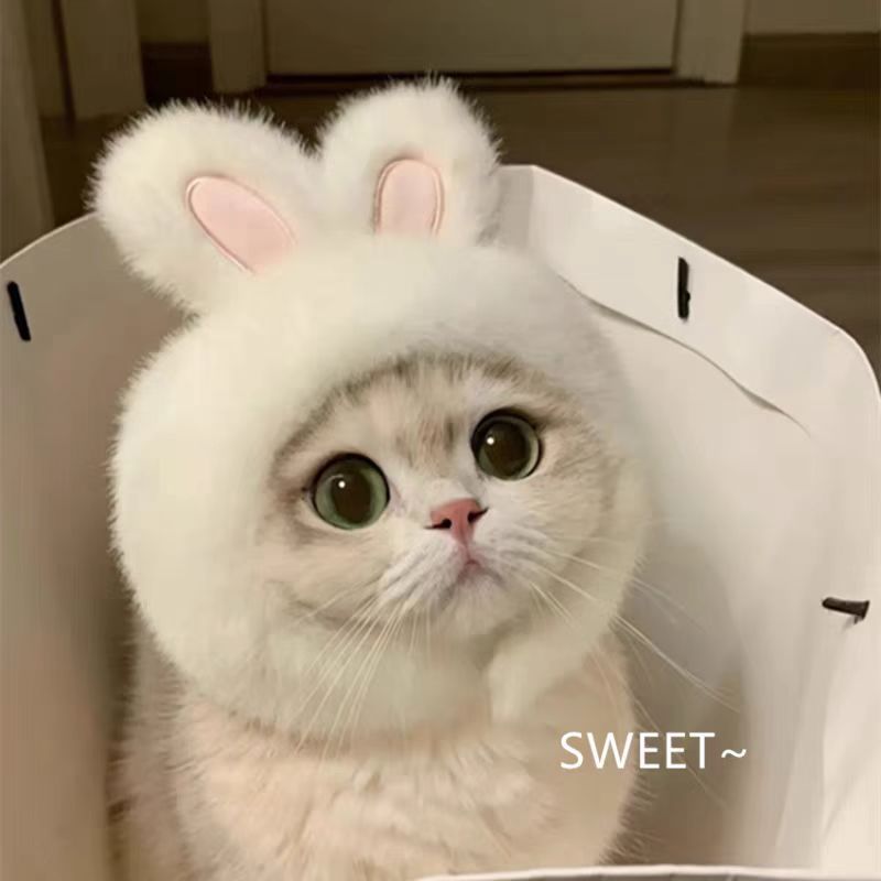 Cute Pet Bunny Hat with Rabbit Ears