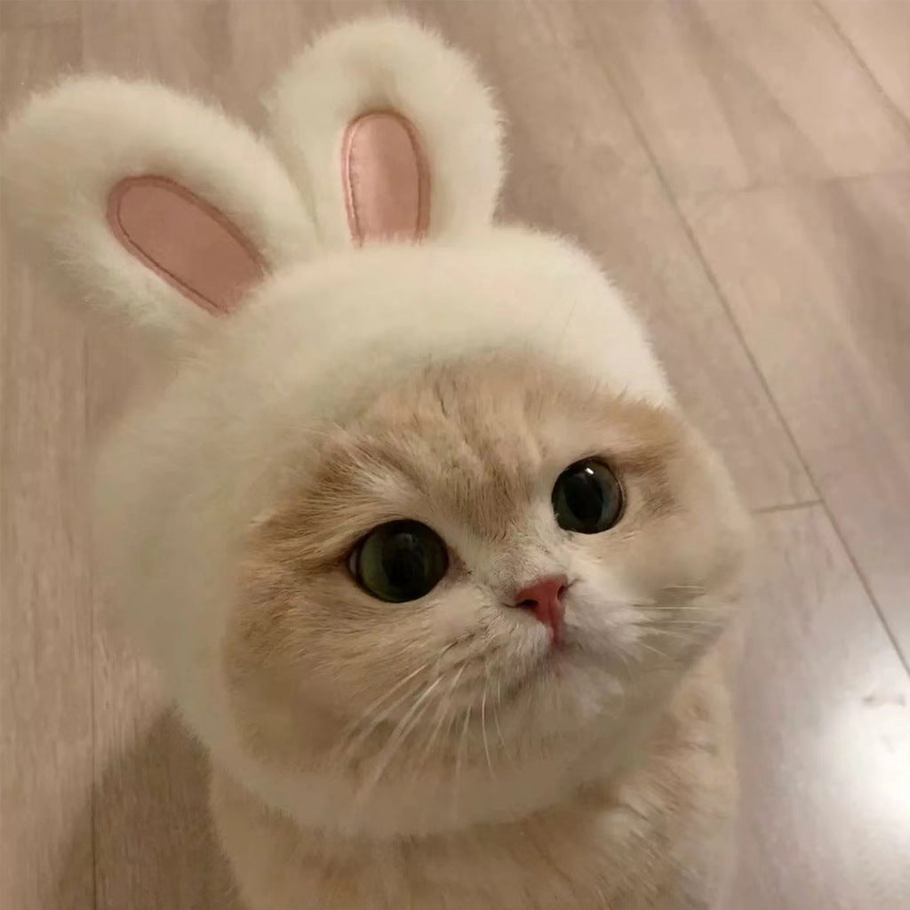 Cute Pet Bunny Hat with Rabbit Ears