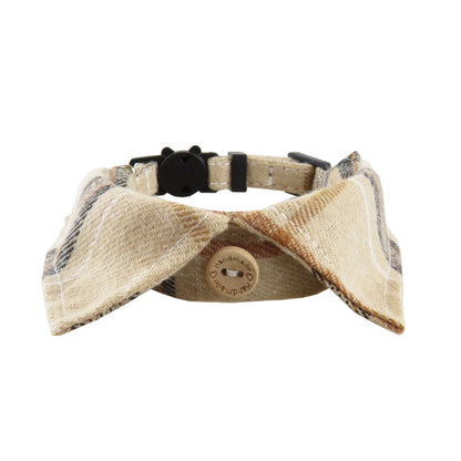 Karierte Haustierfliege