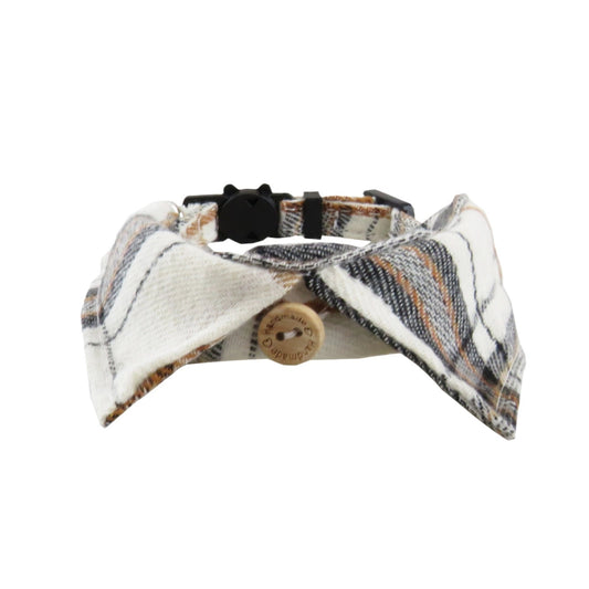 Karierte Haustierfliege