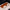 Plush Cat Sleeping Bag