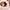 Plush Cat Sleeping Bag