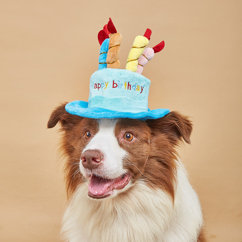 Plush Pet Birthday Cake Hat