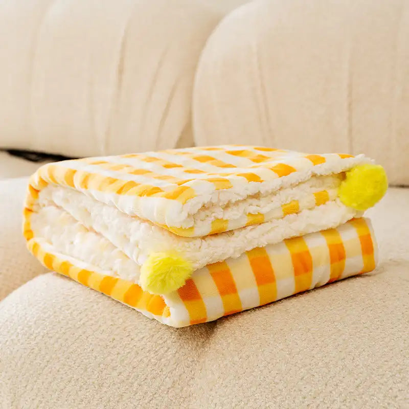 Thick Plush Pet Blanket