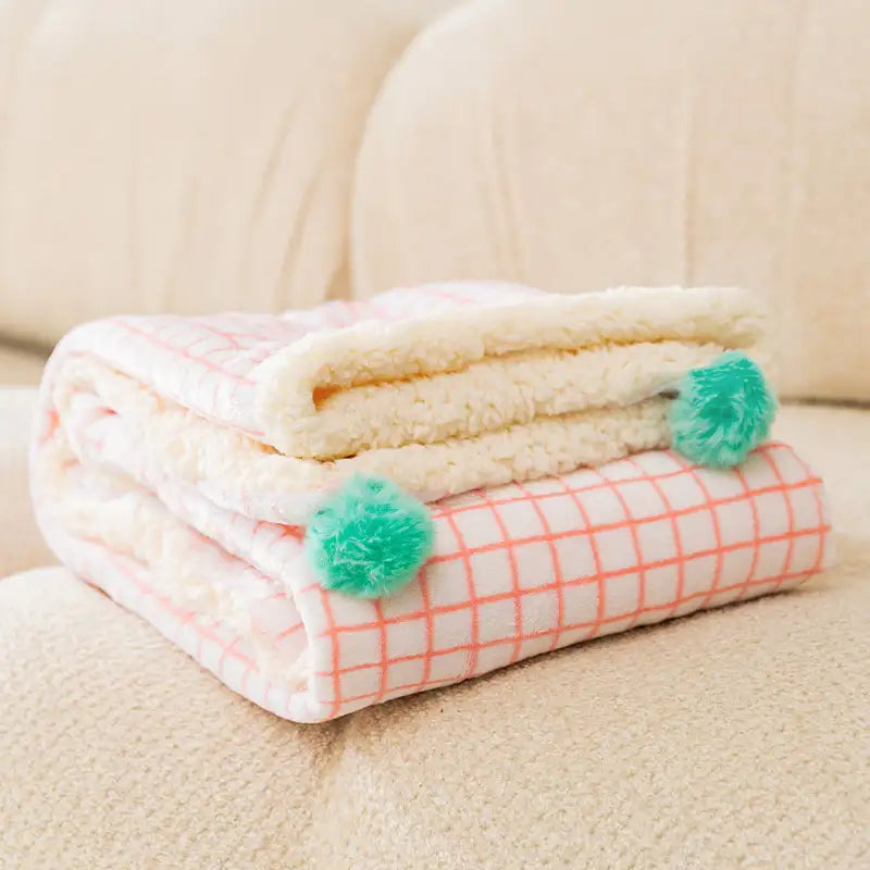 Thick Plush Pet Blanket