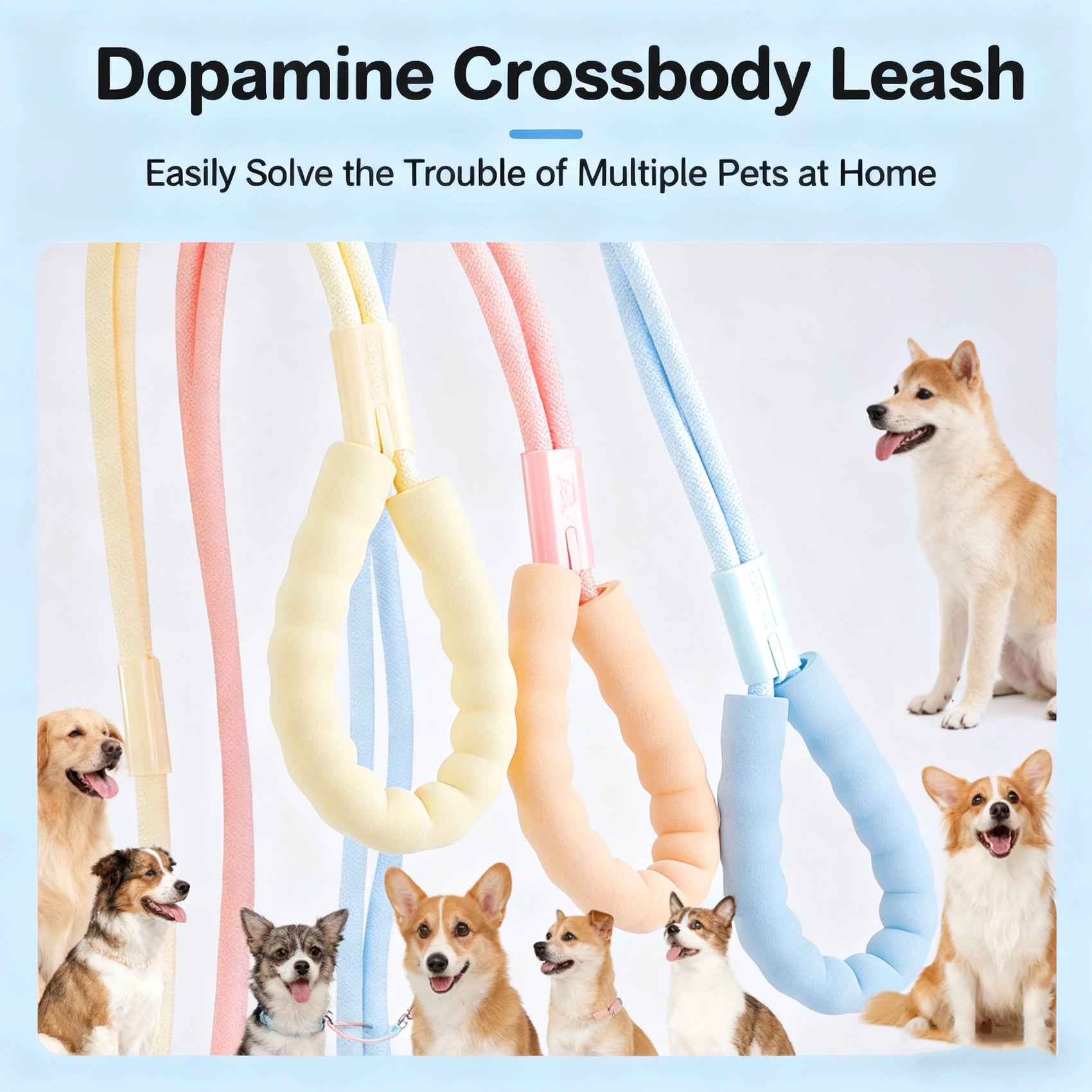 Premium Durable Dog Leash