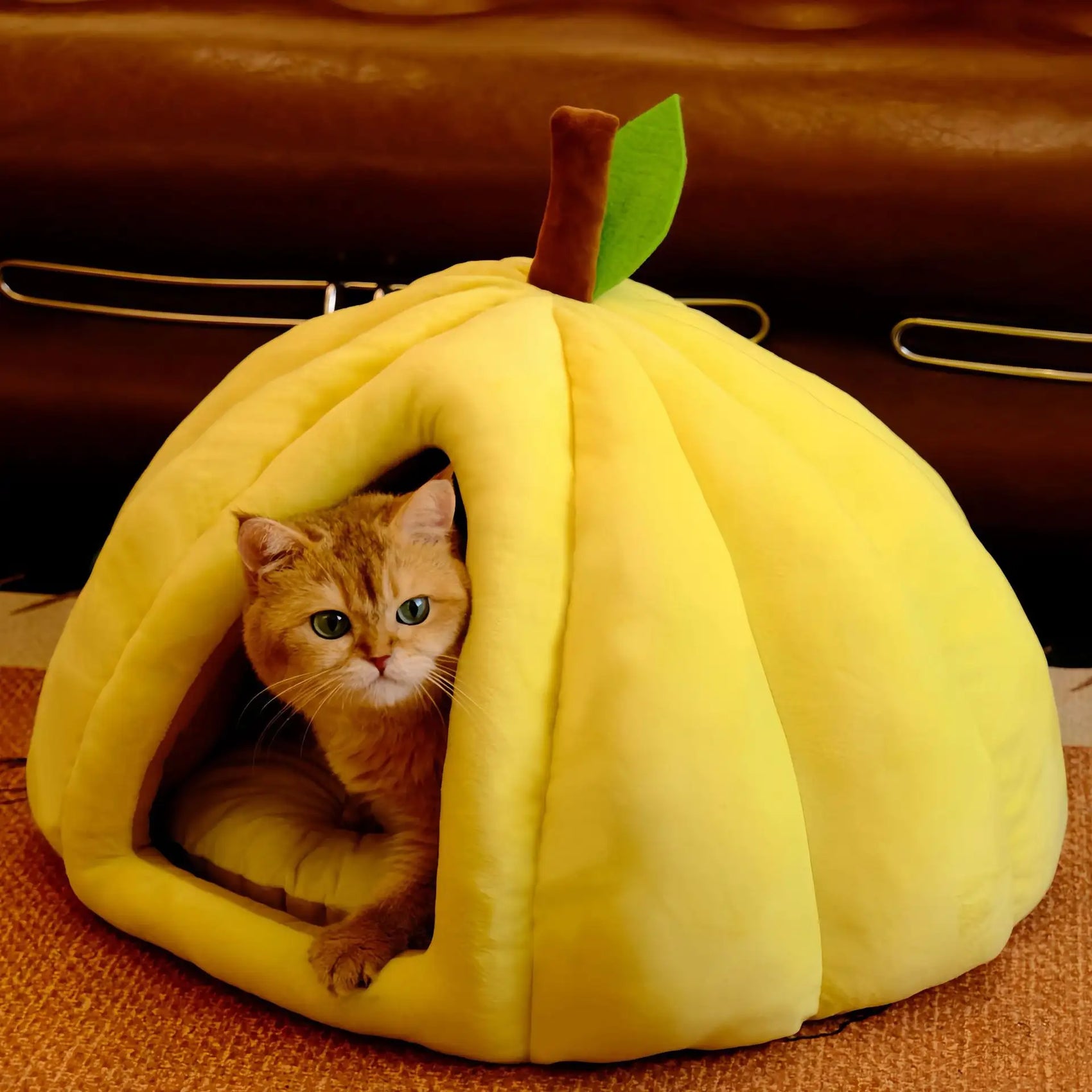 Pumpkin-Shaped Indoor Pet House