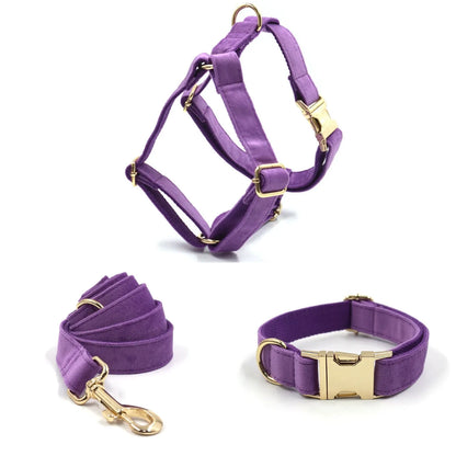 Lila Samt-Spaziersets