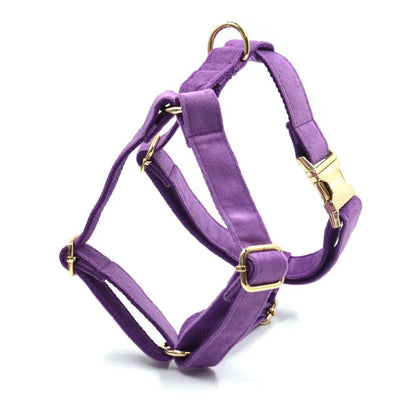 Lila Samt-Spaziersets