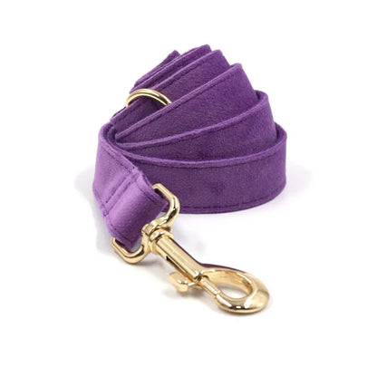 Lila Samt-Spaziersets