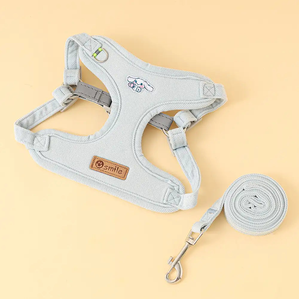 Small Dog Leash – Durable Pet Lead