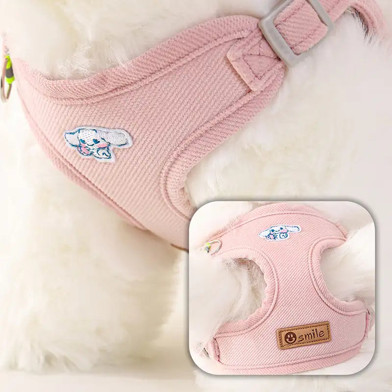 Small Dog Leash – Durable Pet Lead