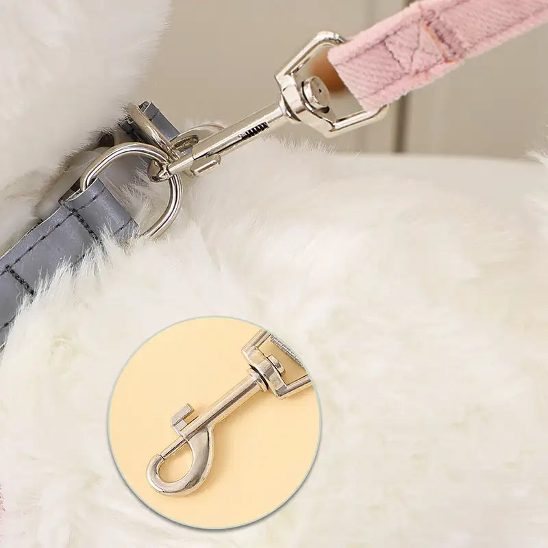Small Dog Leash – Durable Pet Lead