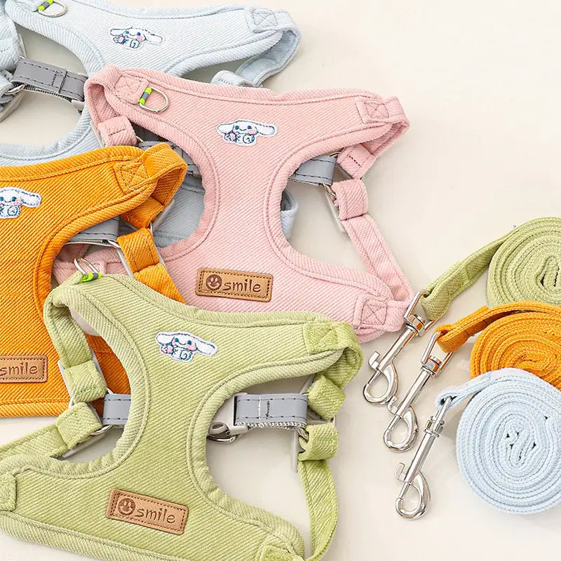 Small Dog Leash – Durable Pet Lead