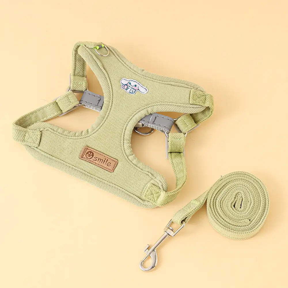 Small Dog Leash – Durable Pet Lead