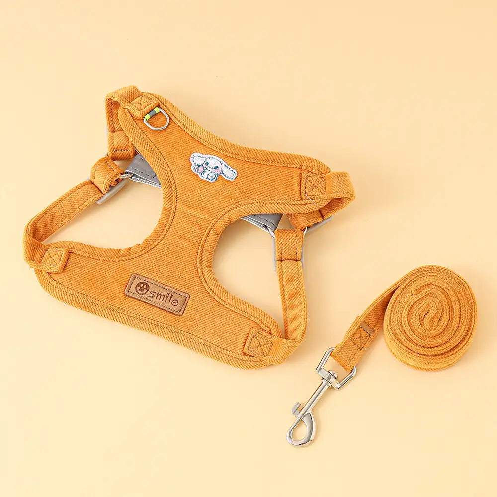 Small Dog Leash – Durable Pet Lead