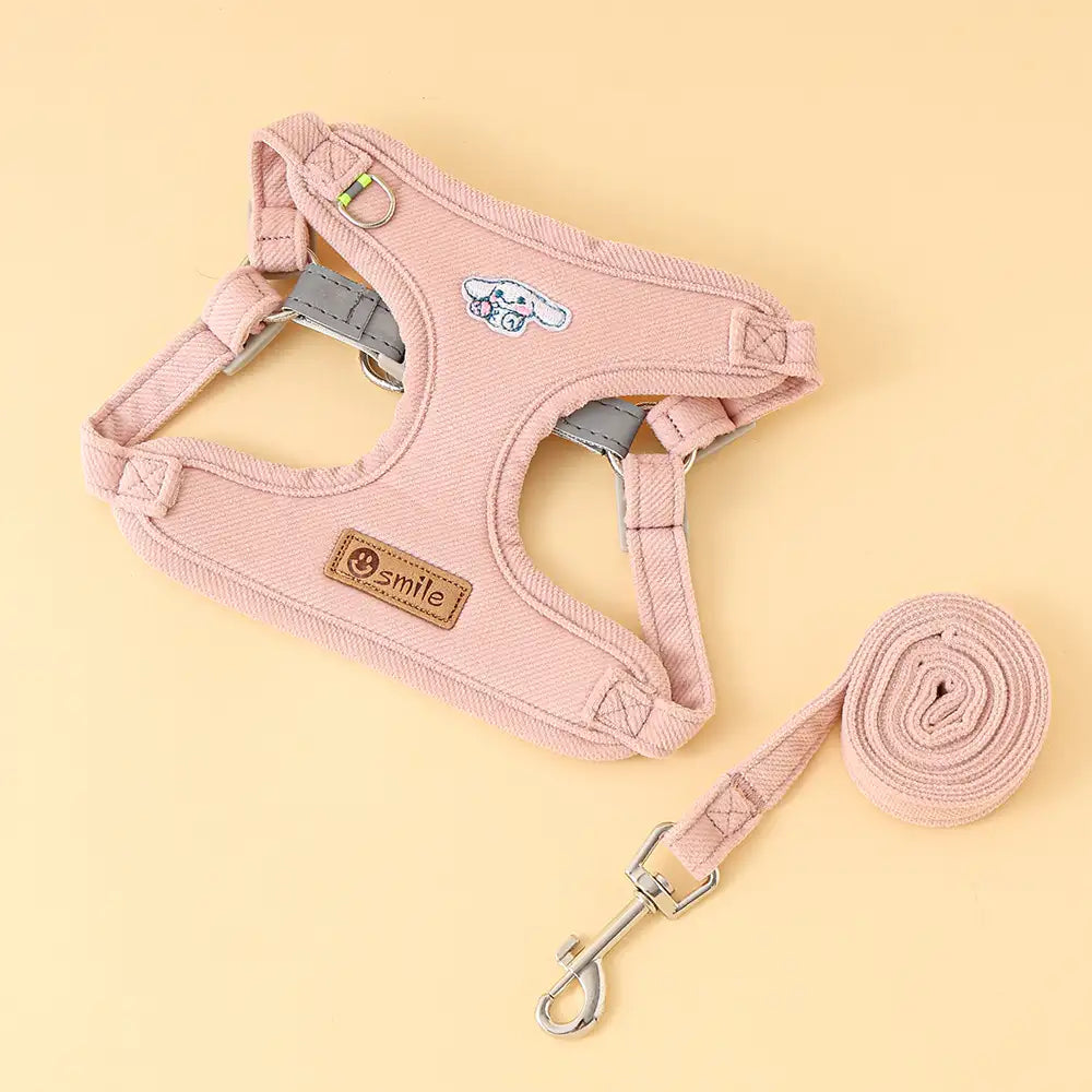Small Dog Leash – Durable Pet Lead