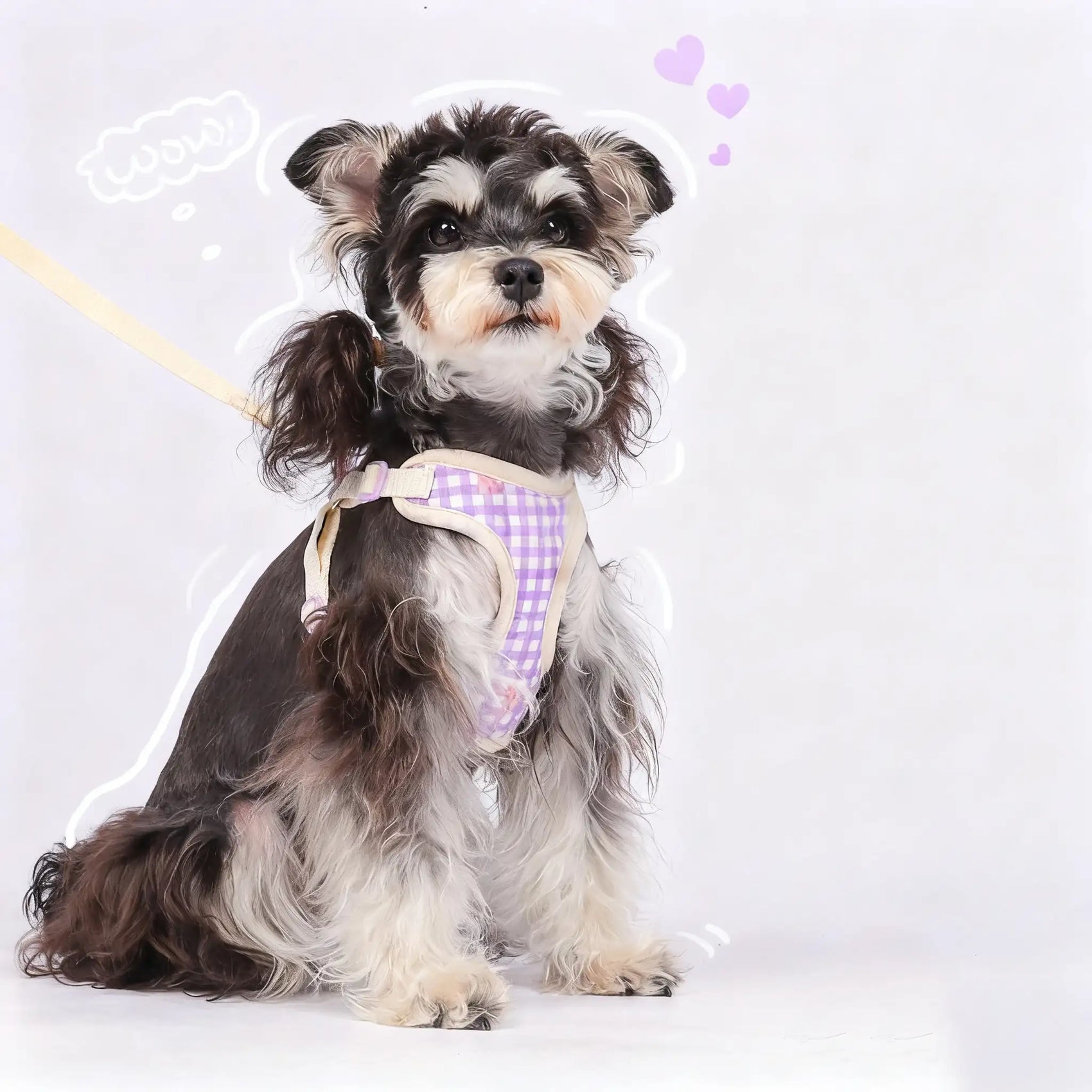 Sweet Butterfly Style Chest Harness for Dogs