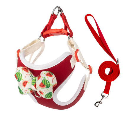 Hübsches Brustgeschirr im Schmetterlingsstil für Hunde