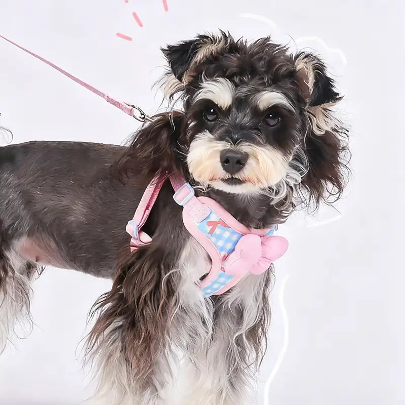 Sweet Butterfly Style Chest Harness for Dogs