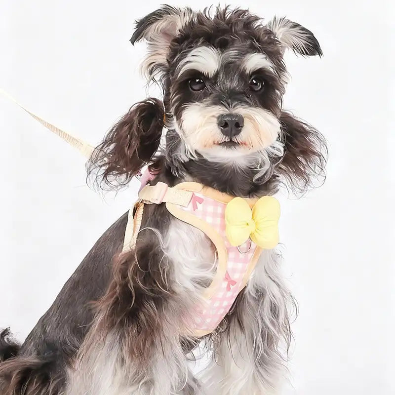 Sweet Butterfly Style Chest Harness for Dogs