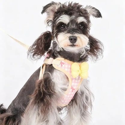 Hübsches Brustgeschirr im Schmetterlingsstil für Hunde