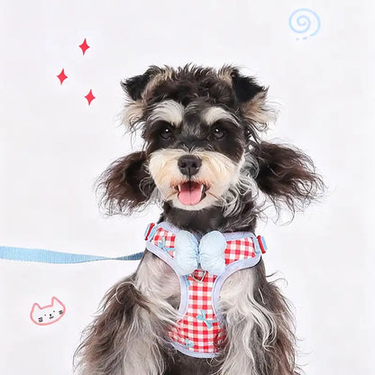 Hübsches Brustgeschirr im Schmetterlingsstil für Hunde