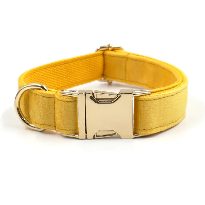 Turmeric Velvet Dog Walk Sets