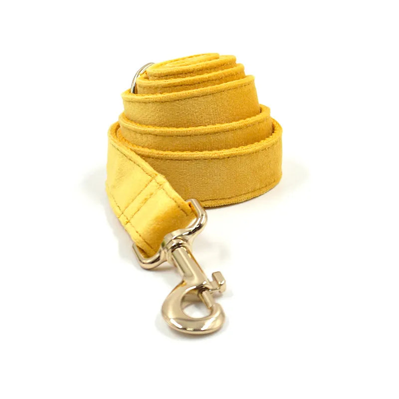 Turmeric Velvet Dog Walk Sets