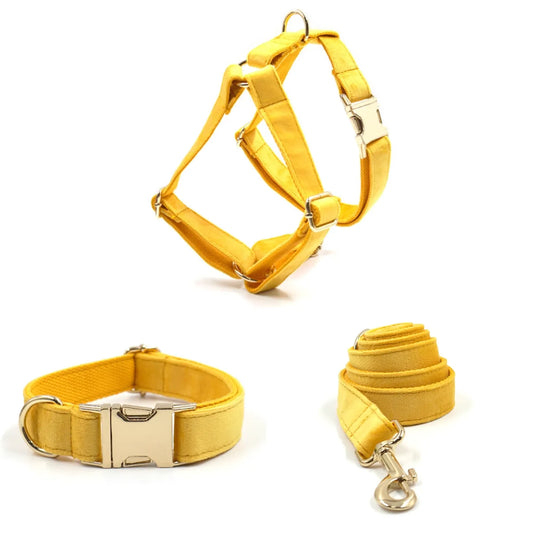 Turmeric Velvet Dog Walk Sets