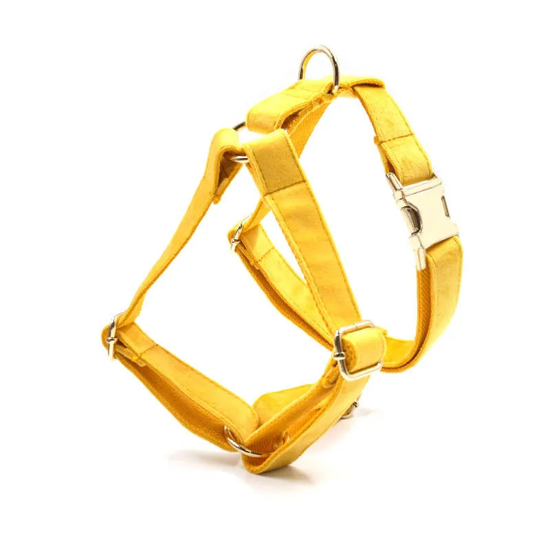 Turmeric Velvet Dog Walk Sets