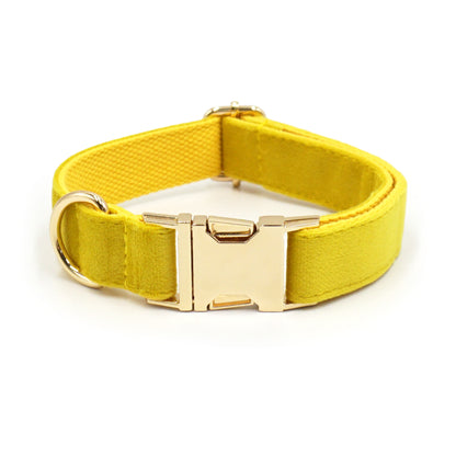 Samt-Hundehalsband mit individueller Lasergravur