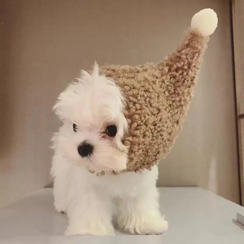 Winter Pet Hat – Warm Knitted Dog & Cat