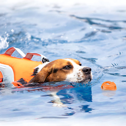 Wirbelwind-Trainingsball-Kauspielzeug