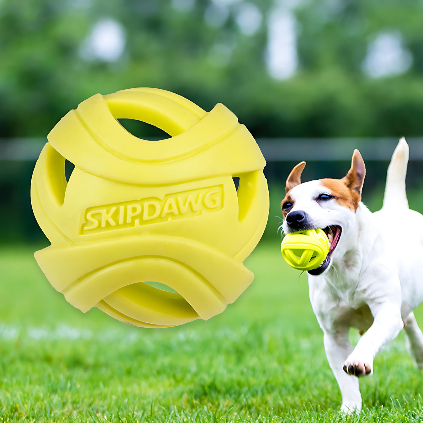 Wirbelwind-Trainingsball-Kauspielzeug