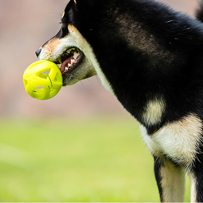 Wirbelwind-Trainingsball-Kauspielzeug