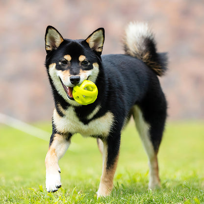 Wirbelwind-Trainingsball-Kauspielzeug