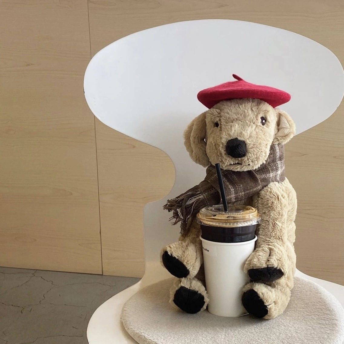 Wool Beret Hat for Dogs