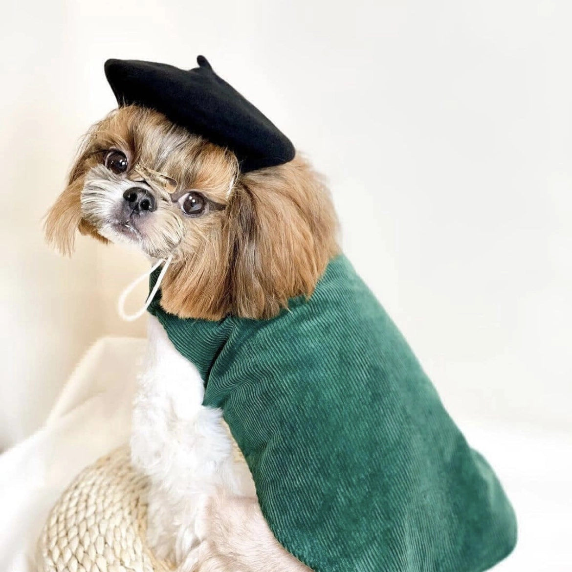 Wool Beret Hat for Dogs